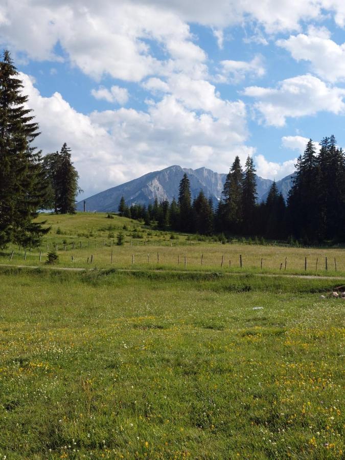 Sumski Raj Žabljak Exteriör bild